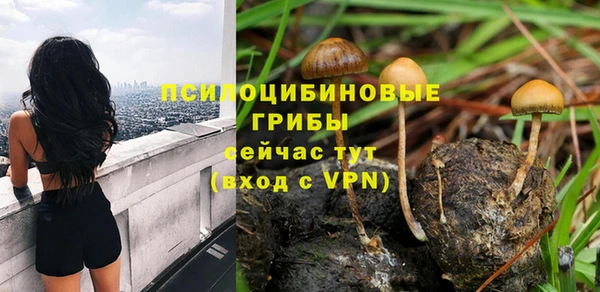 кристаллы Алзамай