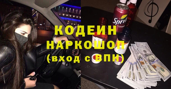 индика Абаза