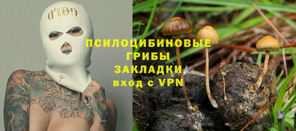 индика Абаза