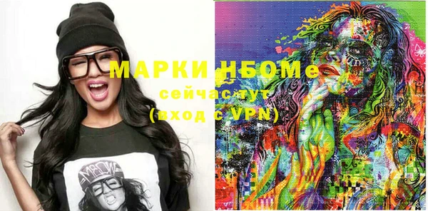 индика Абаза