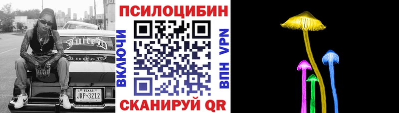 Псилоцибиновые грибы Psilocybe  дарнет шоп  Златоуст 